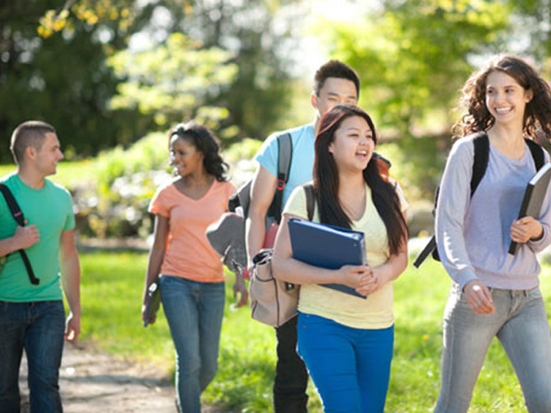 ip攻击器网页版ddos